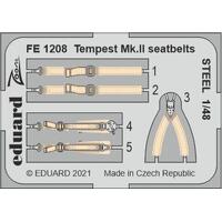 Eduard 1/48 Tempest Mk.II seatbelts STEEL Zoom set