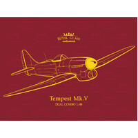 Eduard 1/48 Tempest Mk. V Dual combo plastic model kit