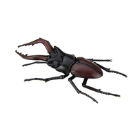 Fujimi Biology Edition Stag Beetle [FI No.22] Plastic Model Kit