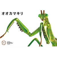 Fujimi Biology Edition Big Mantis [FI No.23] Plastic Model Kit