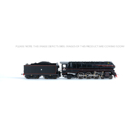 Gopher Models N Scale C38 Class Loco NSWGR 3804 Streamliner (black)