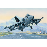 HobbyBoss 1/48 A-11A Ghibli Plastic Model Kit [81741]