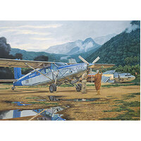 Roden 1/48 PILATUS TURBO-PORTER PC-6/B1-H2 Plastic Model Kit