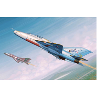 Trumpeter 1/48 MiG-21UM Fighter