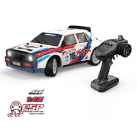 UDI 1/16 2.4G RTR 4WD Rally Car