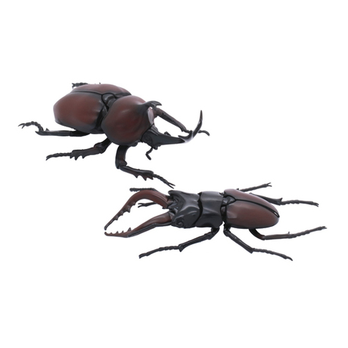 Fujimi Biology Edition Beetle vs Stag Beetle Showdown Set (FI No.25) Plastic Model Kit [17086]