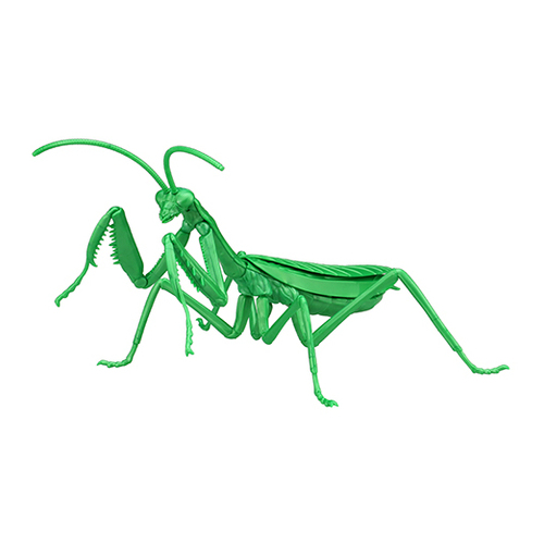 Fujimi Biology Edition Big Mantis (Metallic Green) (FI No.23 EX-3) Plastic Model Kit [17111]