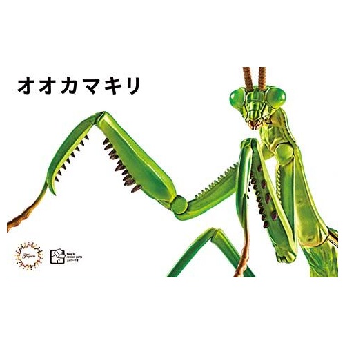 Fujimi Biology Edition Big Mantis [FI No.23] Plastic Model Kit