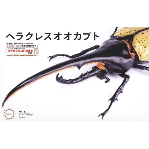 Fujimi Biology Edition Dynastes Hercules You Morinaga Explanatory notes and Instructions ver.  Plastic Model Kit