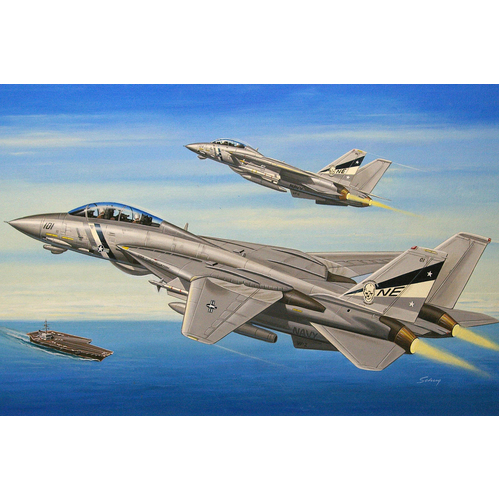 HobbyBoss 1/72 F-14D Super Tomcat Plastic Model Kit [80278]