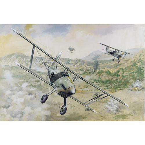 Roden 1/48 Arado Ar68E Plastic Model Kit